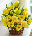 Basket of Sunshine Davis Floral Clayton Indiana from Davis Floral